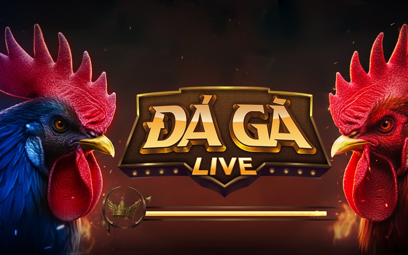 Đá Gà live YO88: Sân chơi đỉnh cao, xanh chín nhất 2026